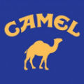 Danny Shark  – Camel (demo)